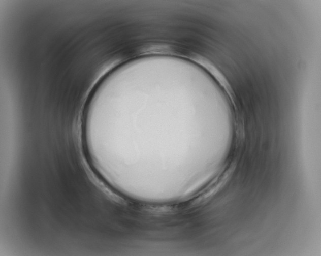 X0000113910957200910221331