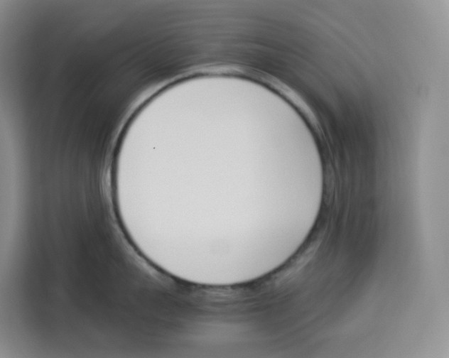 X0000113910959200910221331