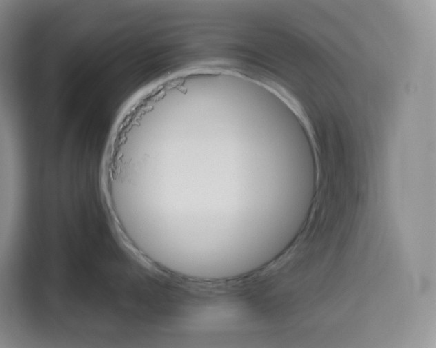 X0000113910960200910221331