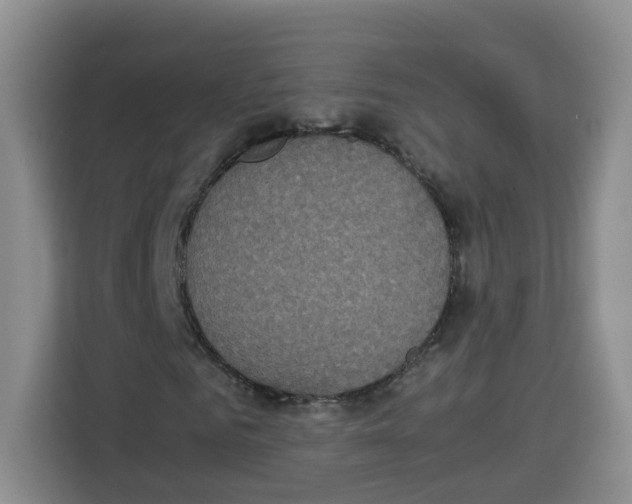 X0000113910961200910221330