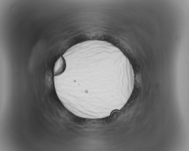 X0000113910963200910221330