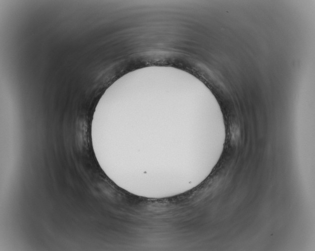 X0000113910964200910221330