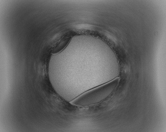 X0000113910965200910221330