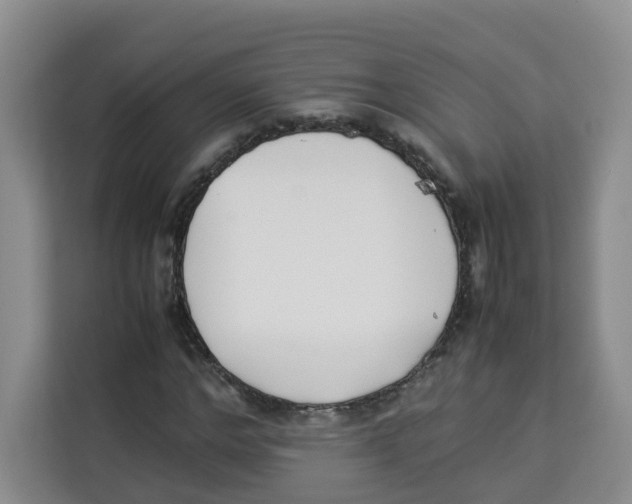 X0000113910968200910221330