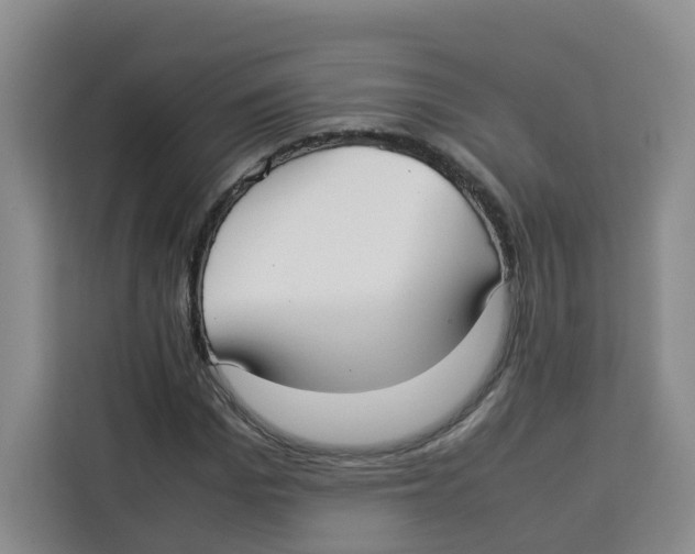 X0000113910969200910221330