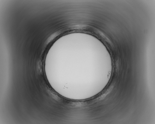 X0000113910970200910221330