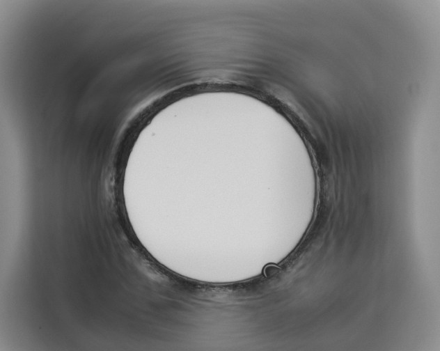 X0000113910971200910221330