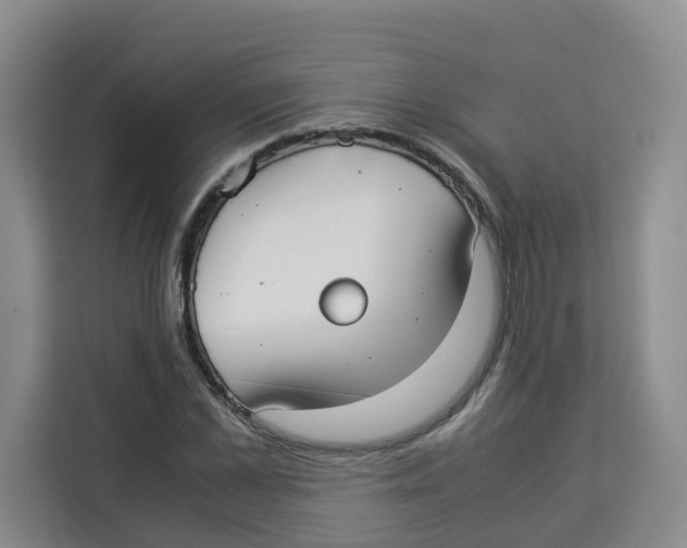 X0000113910973200910221330