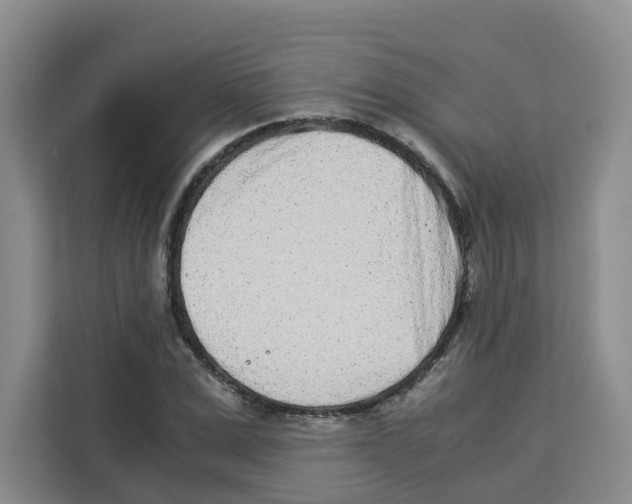 X0000113910975200910221330