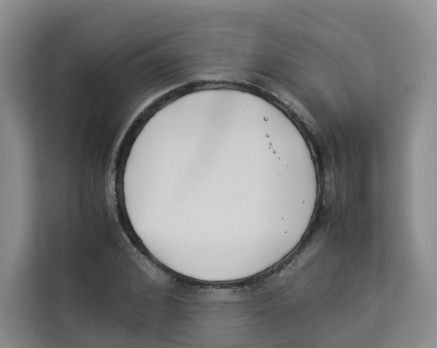 X0000113910976200910221330
