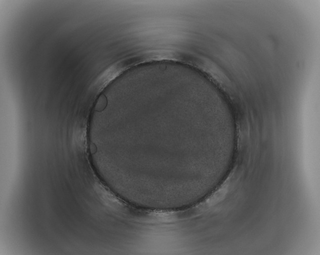 X0000113910977200910221330