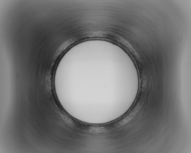X0000113910978200910221330