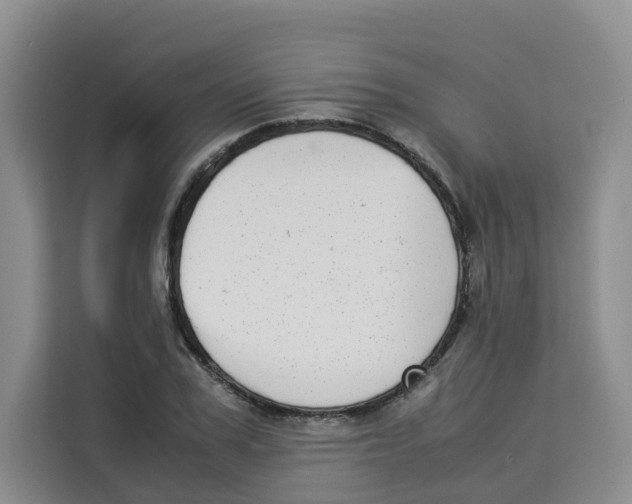 X0000113910979200910221330