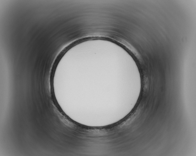 X0000113910980200910221330