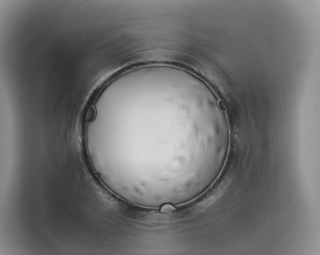 X0000113910981200910221330