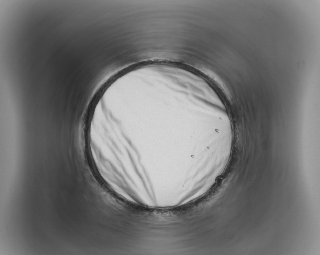 X0000113910983200910221330