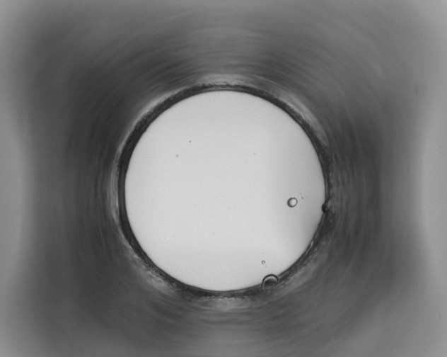 X0000113910984200910221330