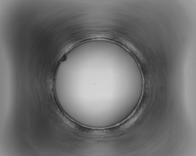 X0000113910985200910221330