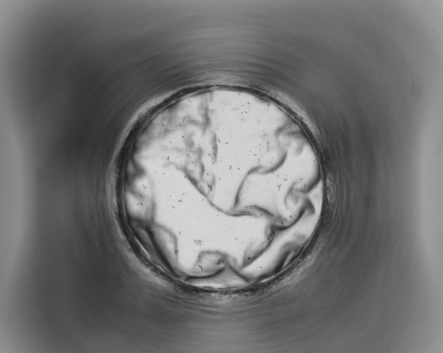 X0000113910987200910221330