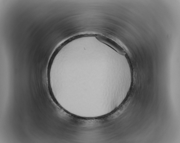 X0000113910988200910221330