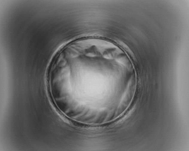 X0000113910989200910221330