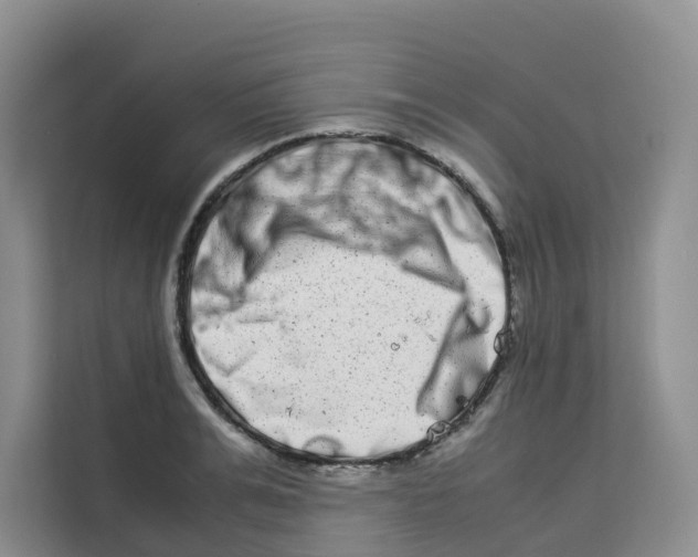X0000113910991200910221330