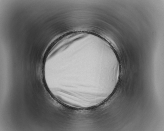 X0000113910992200910221330