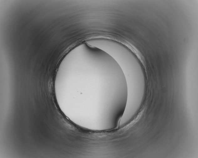 X0000113910993200910221330