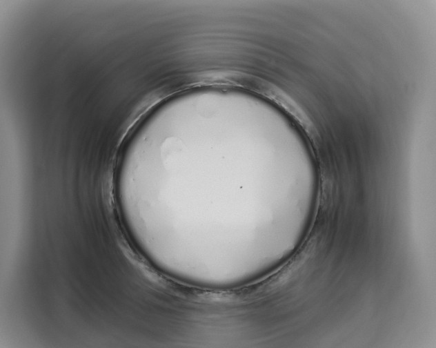 X0000113910994200910221330