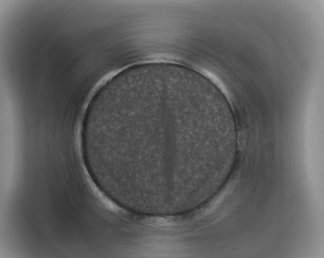 X0000113910995200910221330