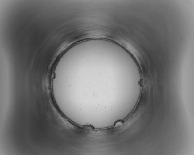 X0000113910997200910221330