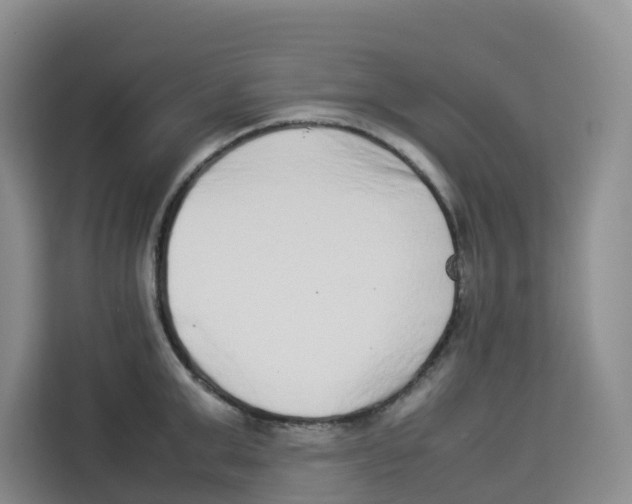 X0000113910999200910221330