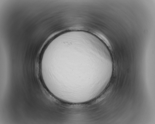 X0000113911000200910221330
