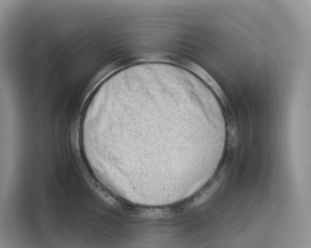 X0000113911002200910221330