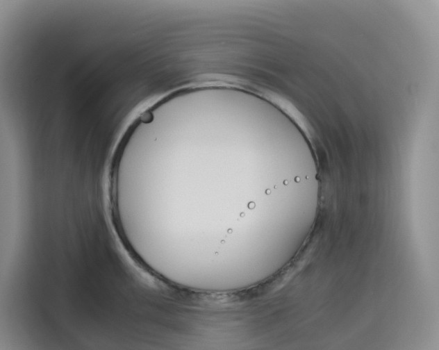 X0000113911003200910221330
