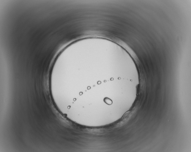 X0000113911004200910221330