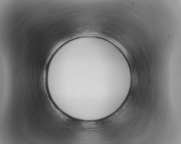 X0000113911006200910221330