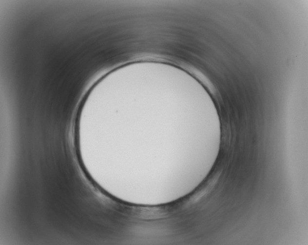 X0000113911007200910221330