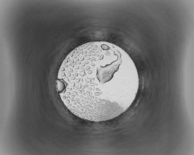 X0000113911009200910221329