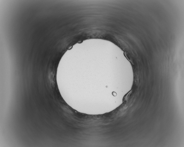 X0000113911010200910221329