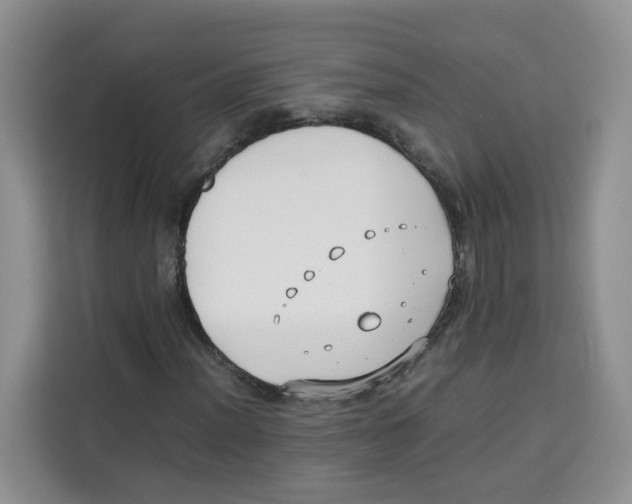 X0000113911012200910221329