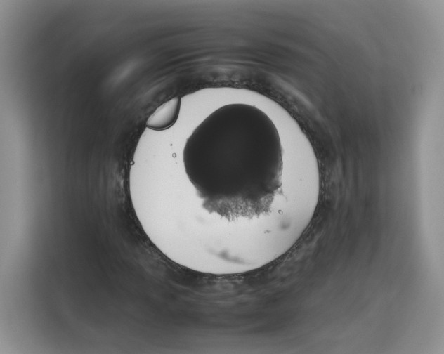 X0000113911013200910221329