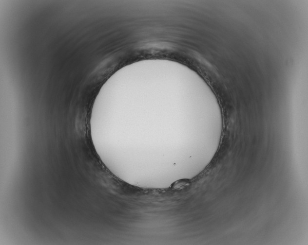 X0000113911014200910221329