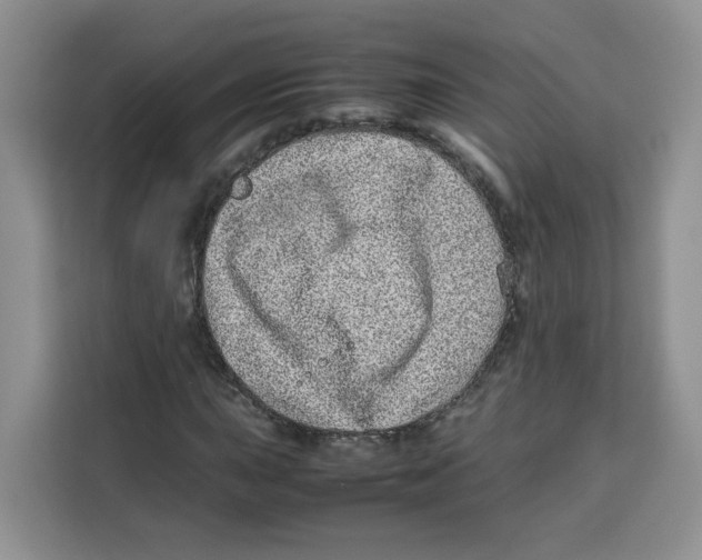 X0000113911015200910221329