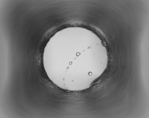 X0000113911016200910221329