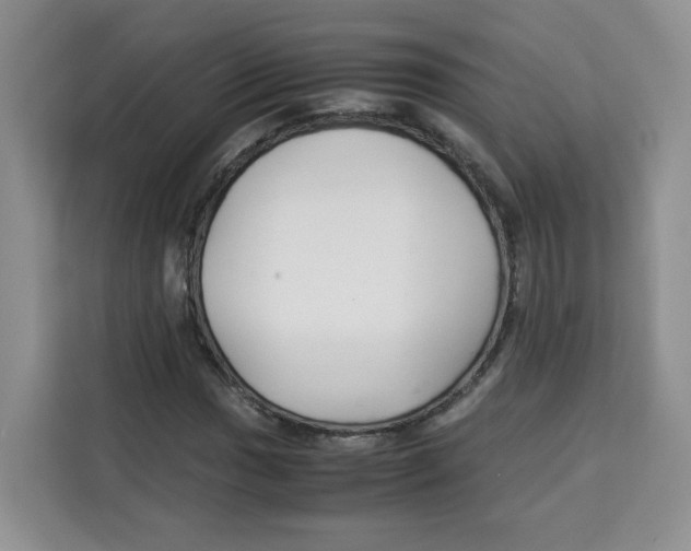 X0000113911017200910221329