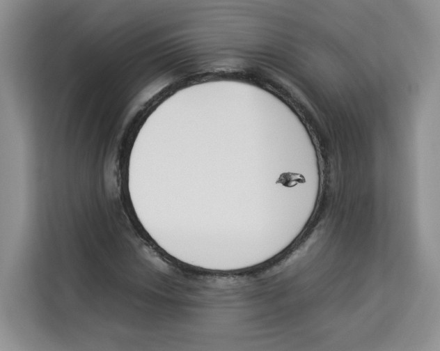 X0000113911018200910221329