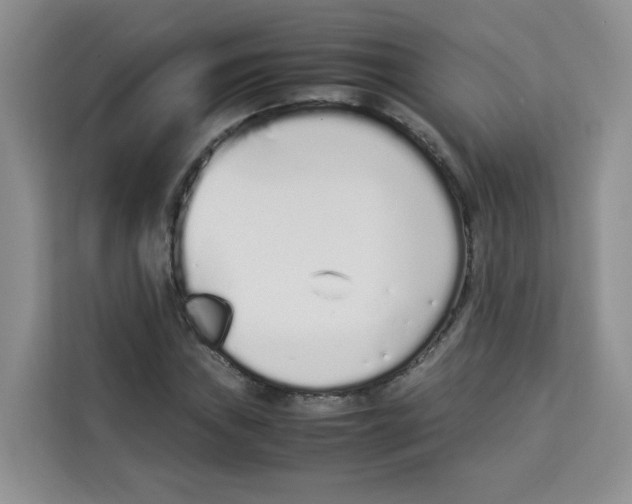 X0000113911019200910221329