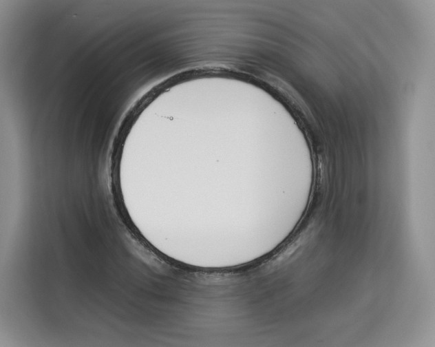 X0000113911020200910221329