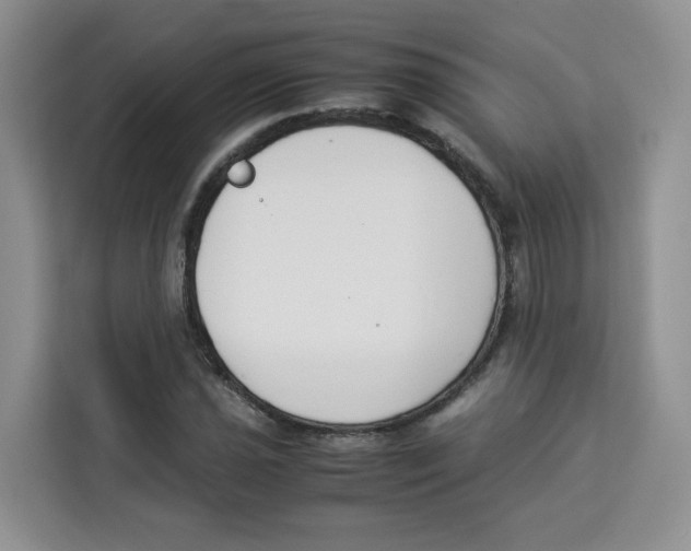 X0000113911021200910221329